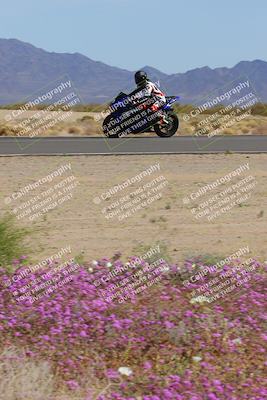 media/Mar-12-2023-SoCal Trackdays (Sun) [[d4c8249724]]/Turn 15 Inside Bloom (130pm)/